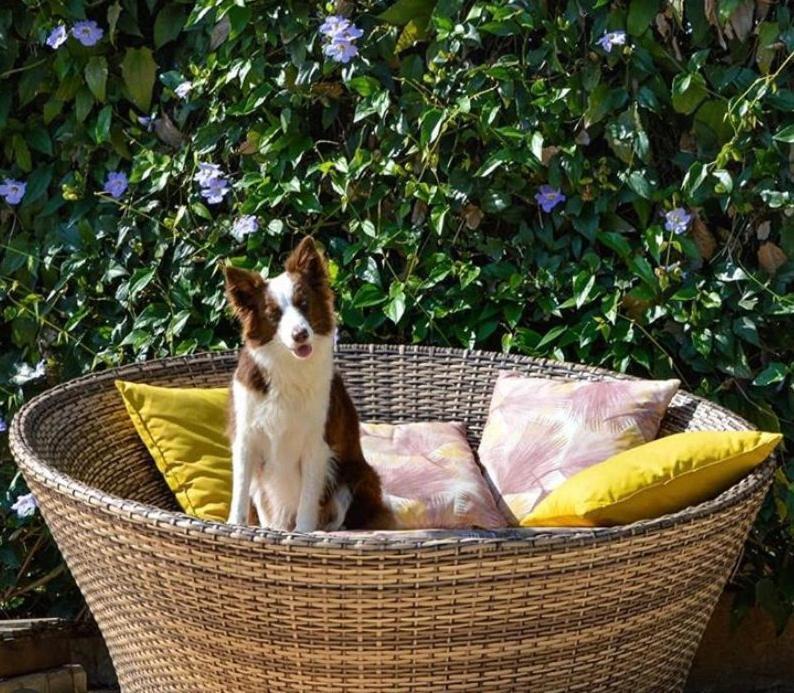 Villa Aye Pousada Boutique Petfriendly Socorro (Sao Paulo) Exterior foto