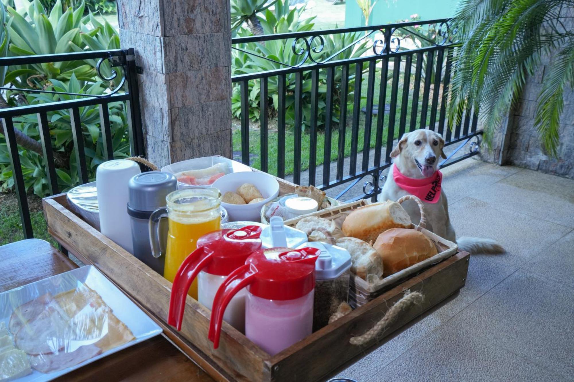 Villa Aye Pousada Boutique Petfriendly Socorro (Sao Paulo) Exterior foto